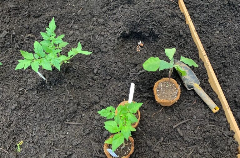 Soil Calculator: How Much Soil vs. Compost for Raised Garden Bed ...