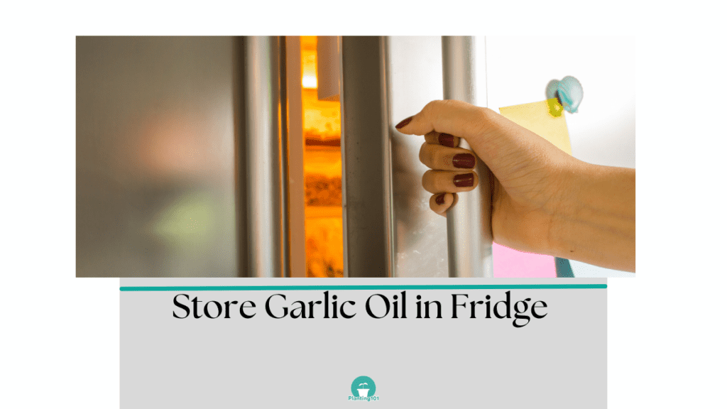 store in fridge