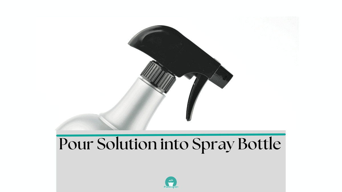 How to Make Horticultural Oil (with baby shampoo) Planting 101