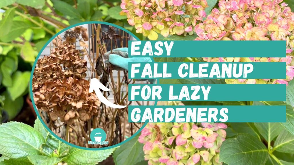 easy fall cleanup